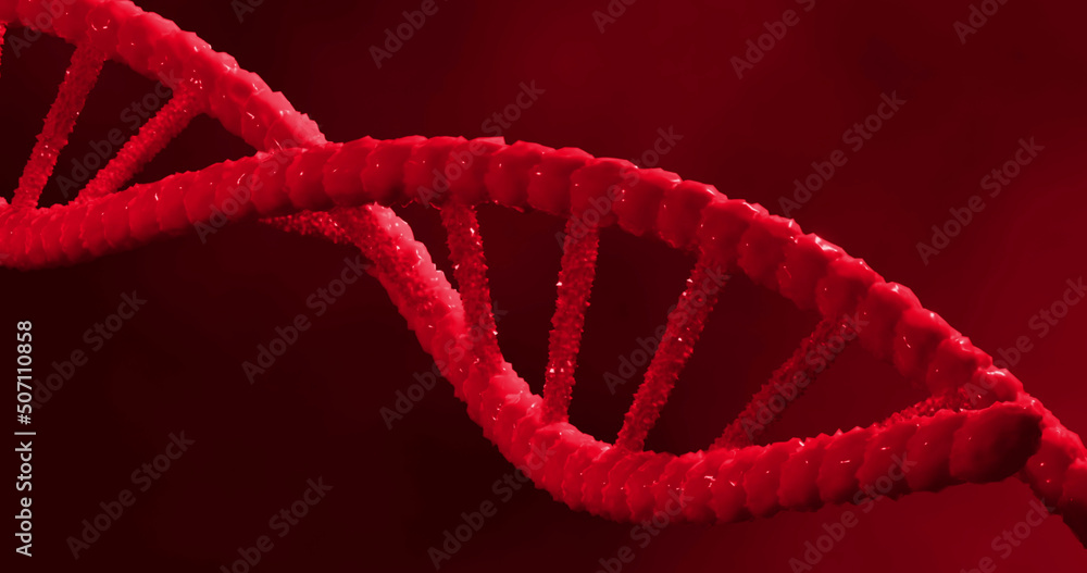 Image of macro of red 3d dna strand spinning