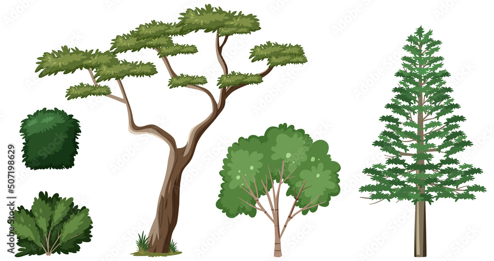 Set of nature forest elements