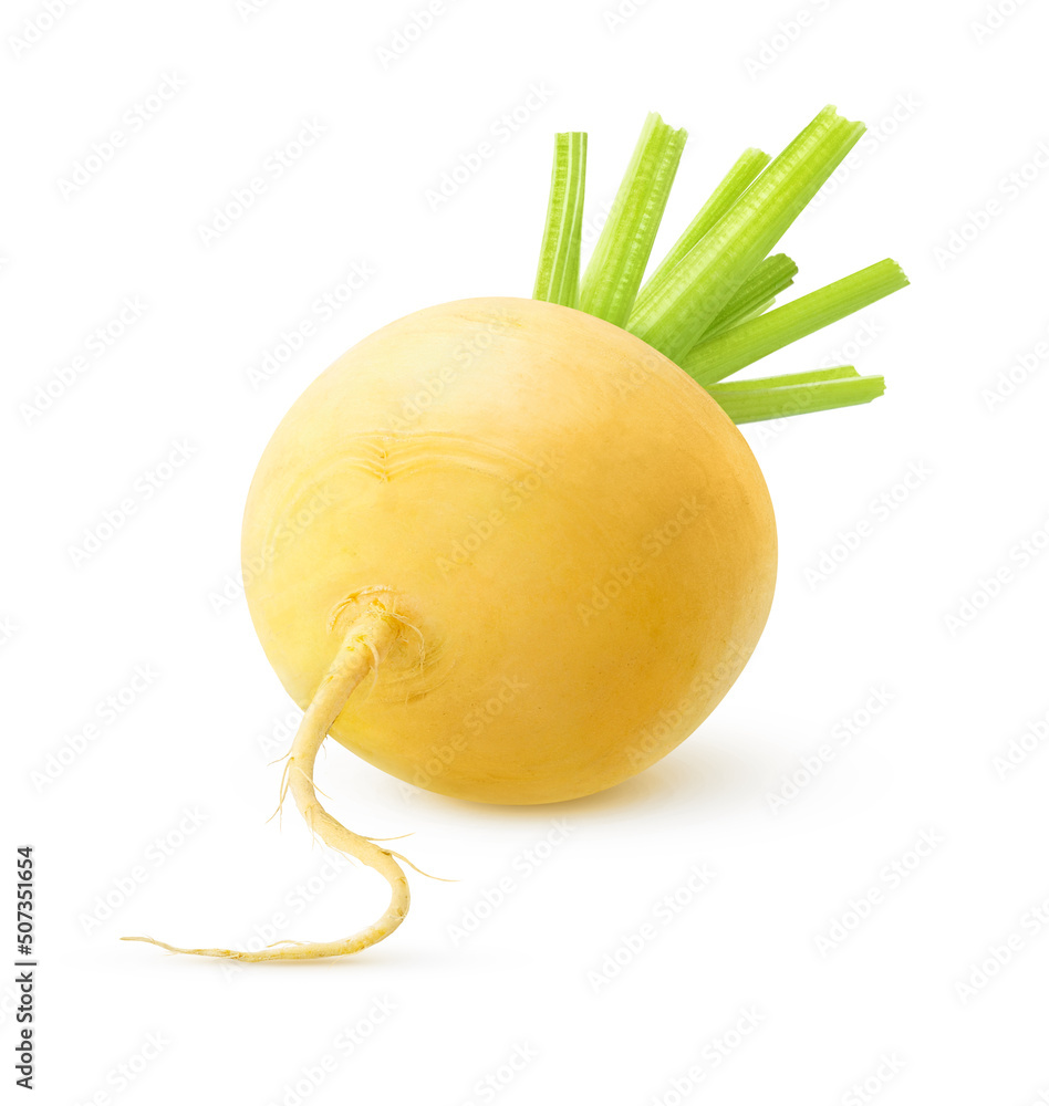 One yellow turnip isolated on white background