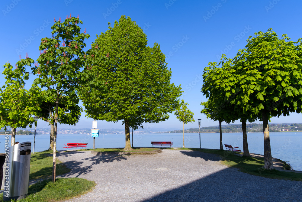 Waterfront with boardwalk and tree alley at border of Lake Zürich at City of Rapperswil-Jona on a su