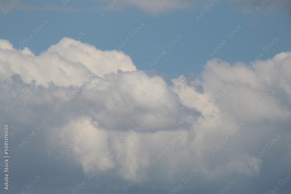 Nature à la campagne, animaux, ciel verdure