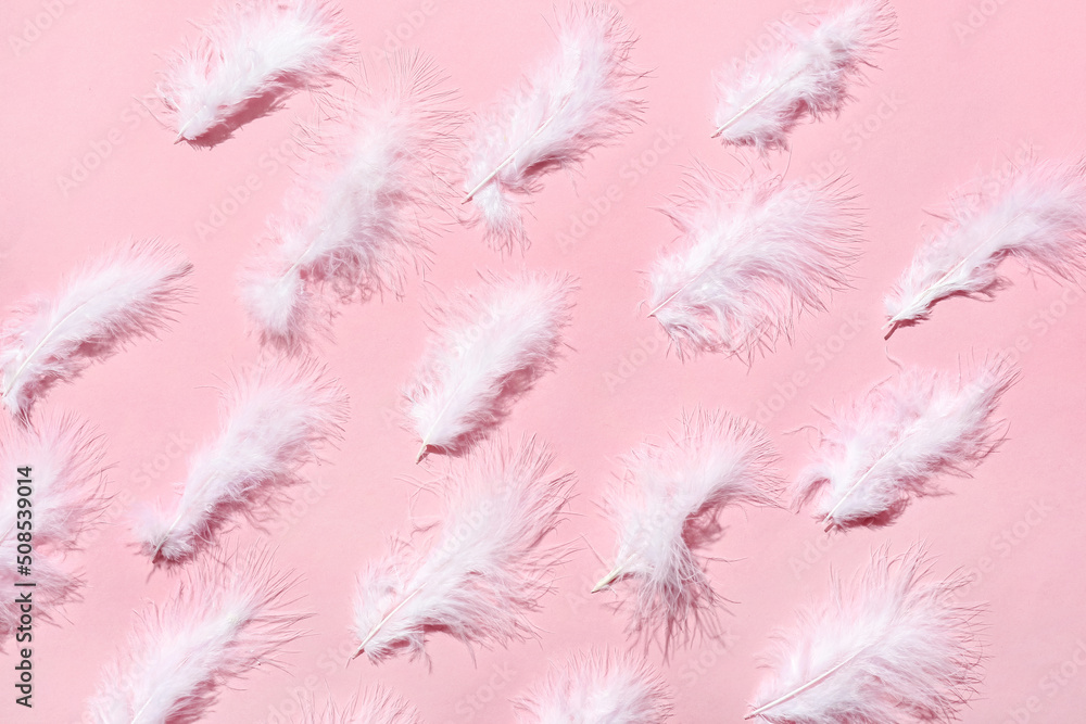 Beautiful feathers on pink background