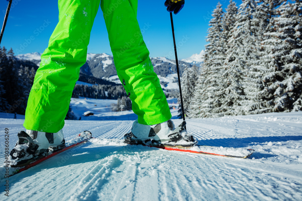 Close-up of skier legs on track over a forest after snowfall