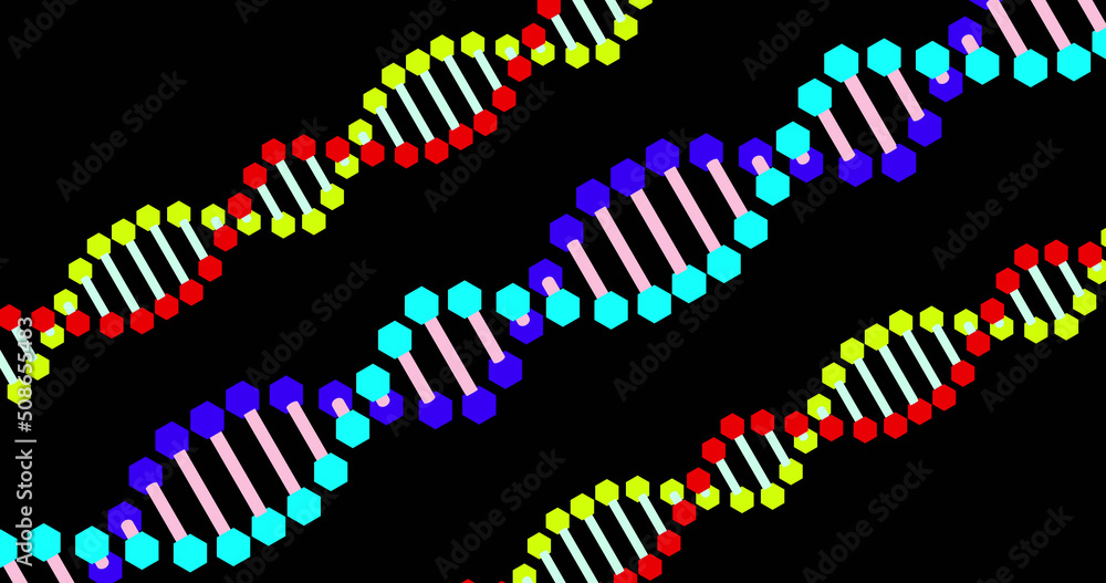 彩色dna在黑色背景上旋转的图像
