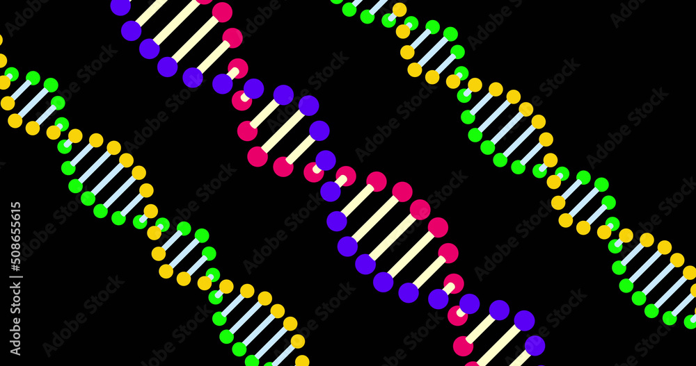 彩色dna在黑色背景上旋转的图像