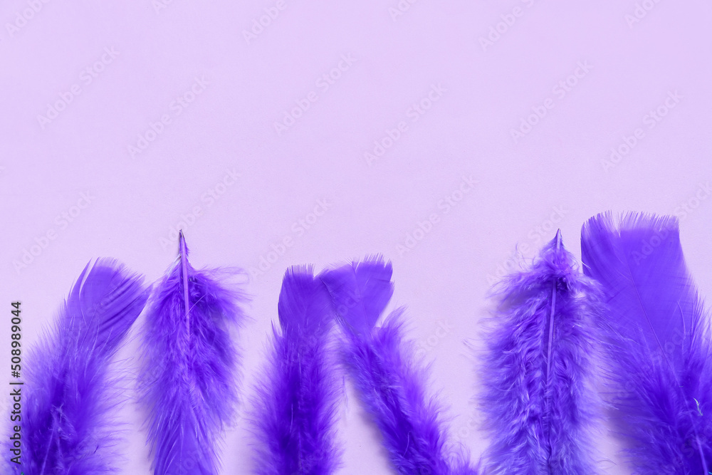 Beautiful purple feathers on color background