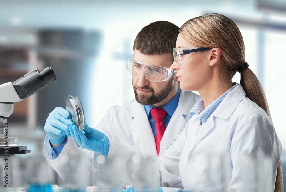 Young scientists conducting research investigations in a medical laboratory, a researcher in the for