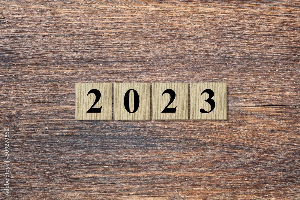 2023 on wooden block cube for new year change and start new business strategy concept.