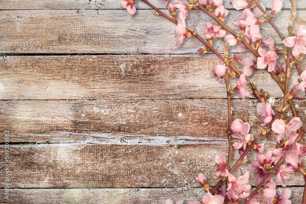 Spring Beautiful blossom bouquet of fresh flowers