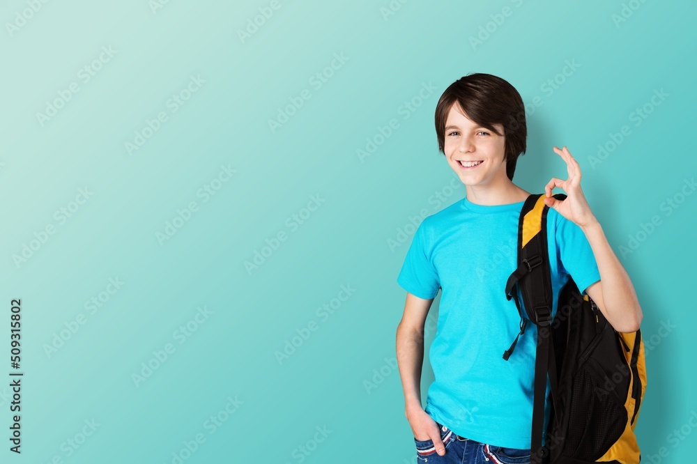 Portrait of smiling teen girl using a laptop computer, studying online