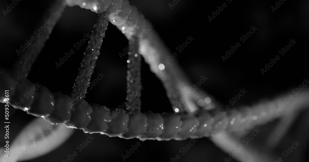 Image of dna strands on black background