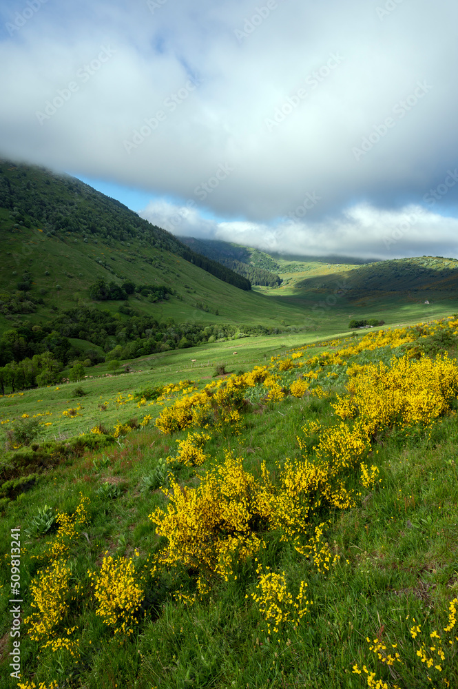 Paysage des Monts du Cantal au printemps dans le Parc Régional Naturel des Volcans dAuvergne en Fra