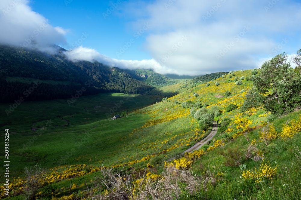 Paysage des Monts du Cantal au printemps dans le Parc Régional Naturel des Volcans dAuvergne en Fra