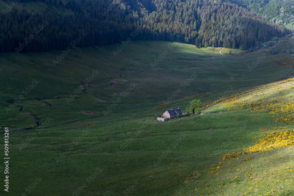 Paysage des Monts du Cantal au printemps dans le Parc Régional Naturel des Volcans dAuvergne en Fra