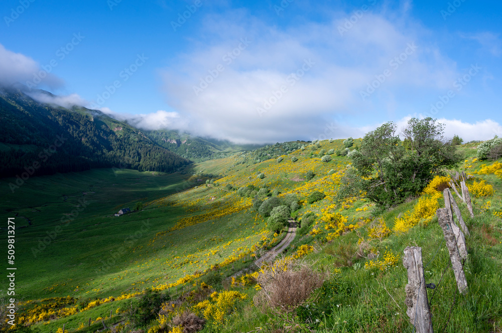 Paysage des Monts du Cantal au printemps dans le Parc Régional Naturel des Volcans dAuvergne en Fra