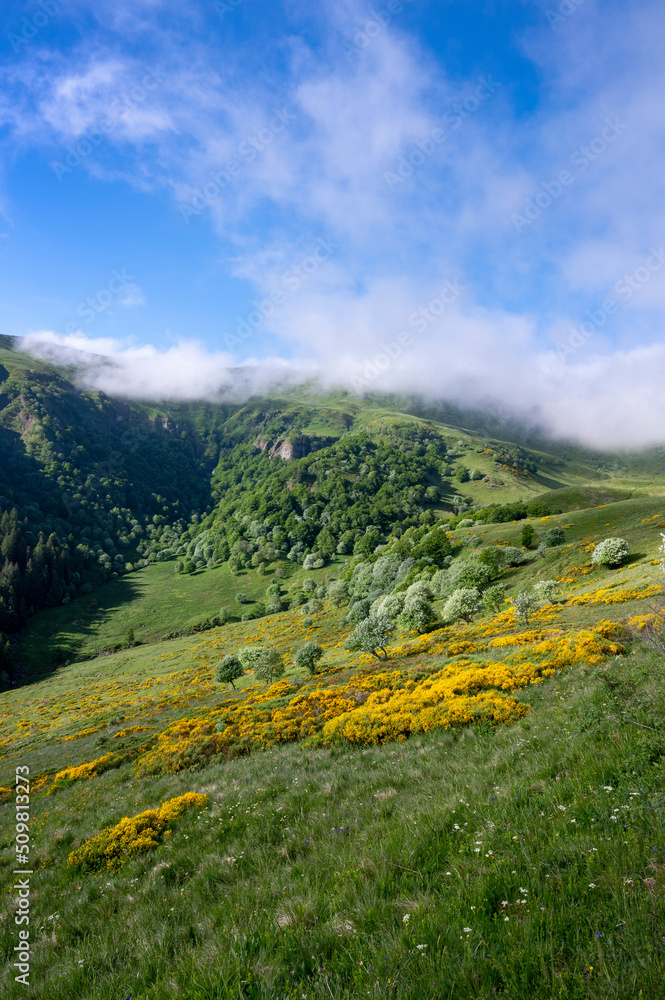 Paysage des Monts du Cantal au printemps dans le Parc Régional Naturel des Volcans dAuvergne en Fra