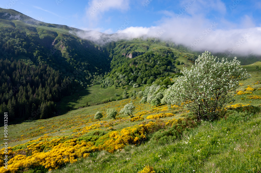 Paysage des Monts du Cantal au printemps dans le Parc Régional Naturel des Volcans dAuvergne en Fra