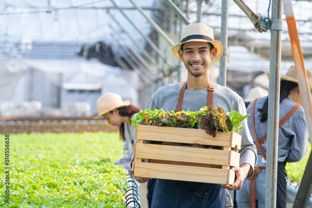 Portrait of handsome male farmer working in vegetables hydroponic farm. 