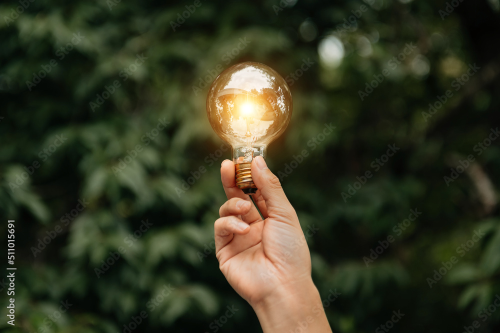 Hand holding light bulb with green background. idea solar energy in nature concept.