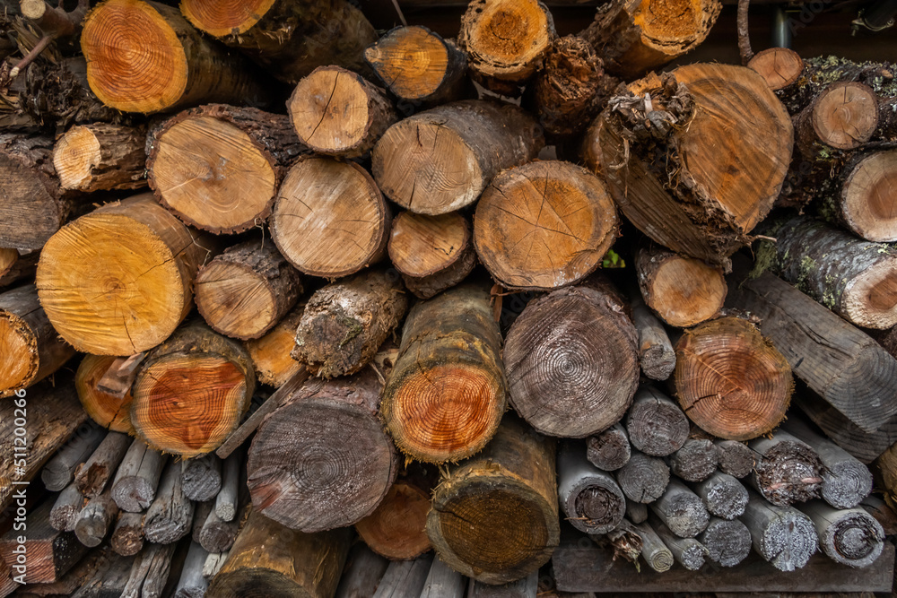 キャンプ場で薪の準備　campgrounds. Preparing firewood 