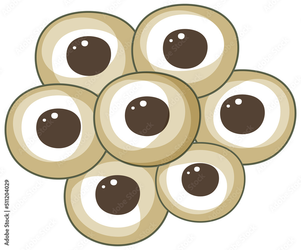 Eggs of frog on white background