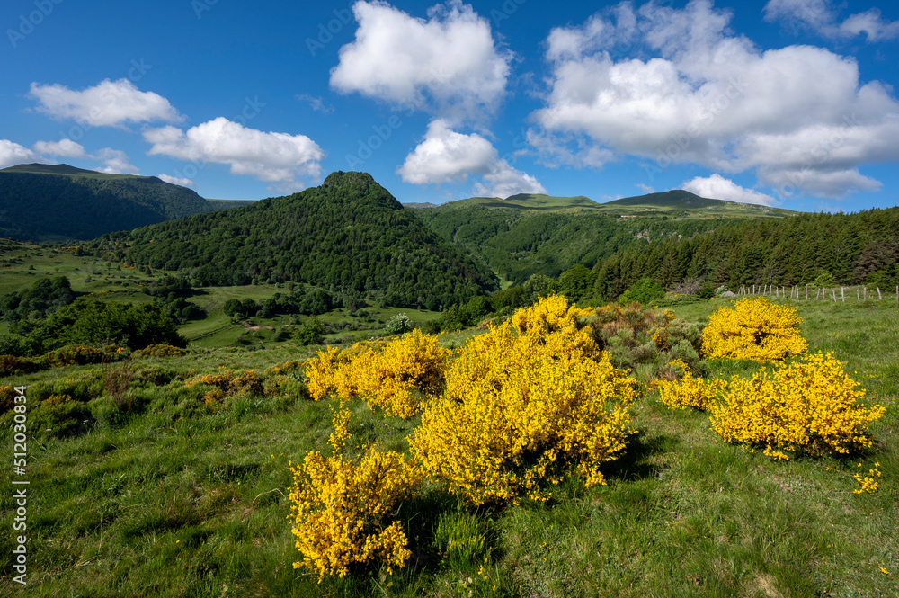 Paysage de printemps en Auvergne dans les Monts Dore et le massif du Sancy en France autour du col d