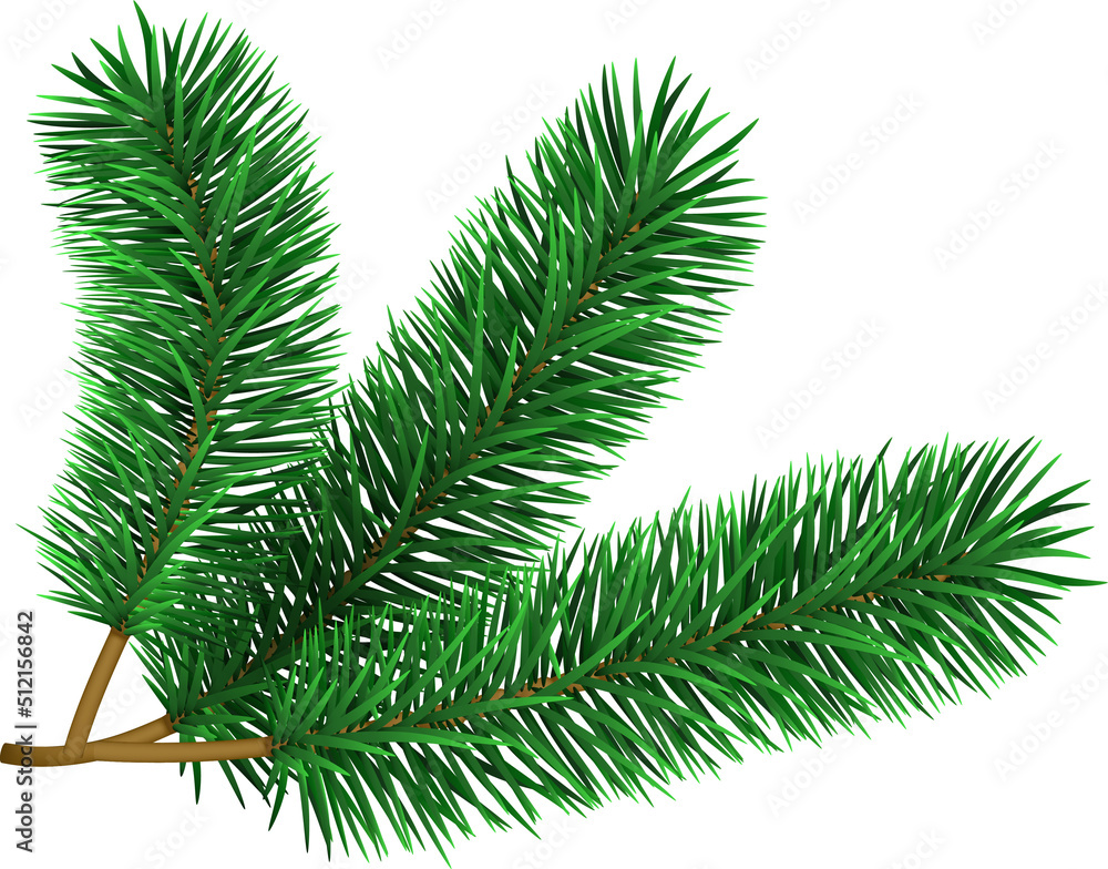 Christmas tree branche fir twig