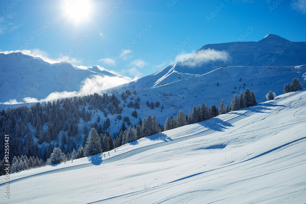 Panorama of ski track on the slope over snow covered fir forest