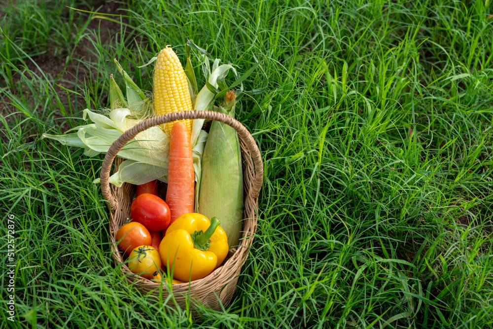 The Pile of Vegetable in the Bamboo basket on green grass in orgranic farming,cabbage,carrots,radish