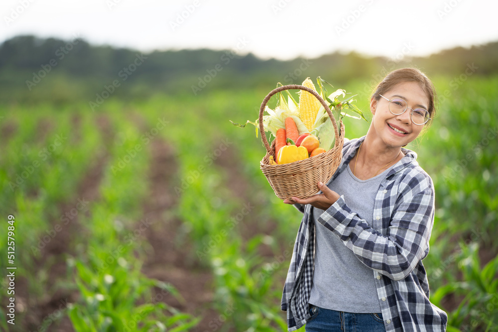 美丽的年轻深色头发肖像名人女人在绿色的竹篮里手捧蔬菜