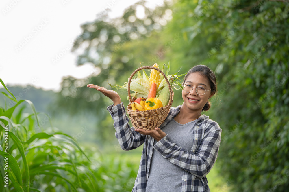 美丽的年轻深色头发肖像名人女人在绿色的竹篮里手捧蔬菜