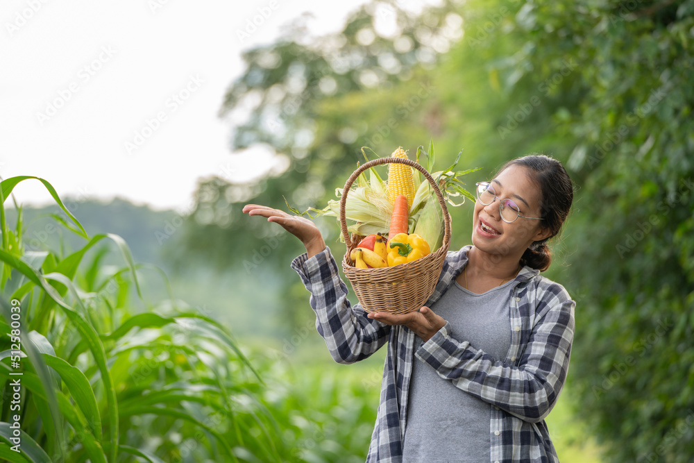 美丽的年轻深色头发肖像名人女人在绿色的竹篮里手捧蔬菜