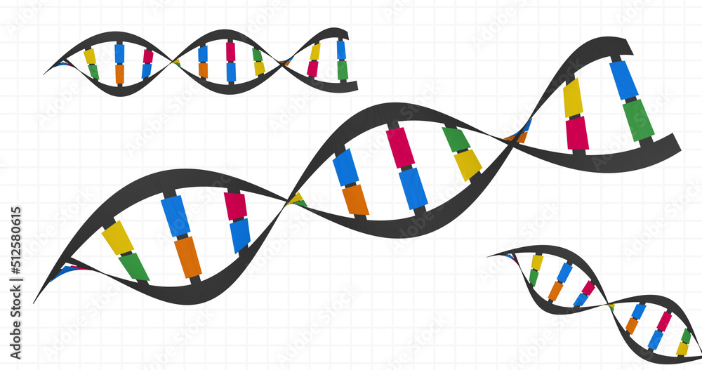 Image of dna strands on white background