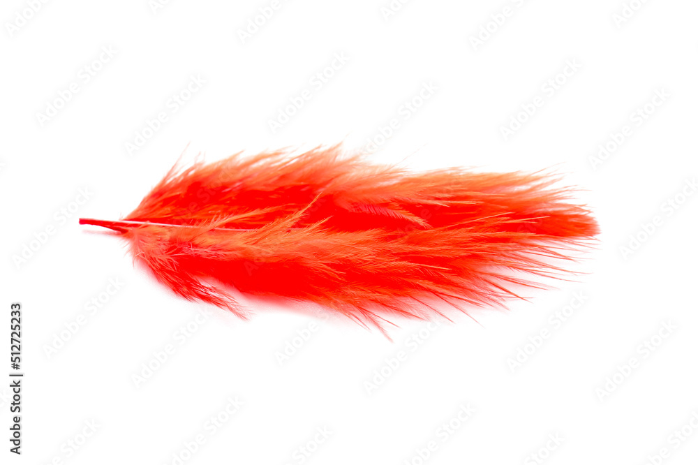 Beautiful red feather on white background