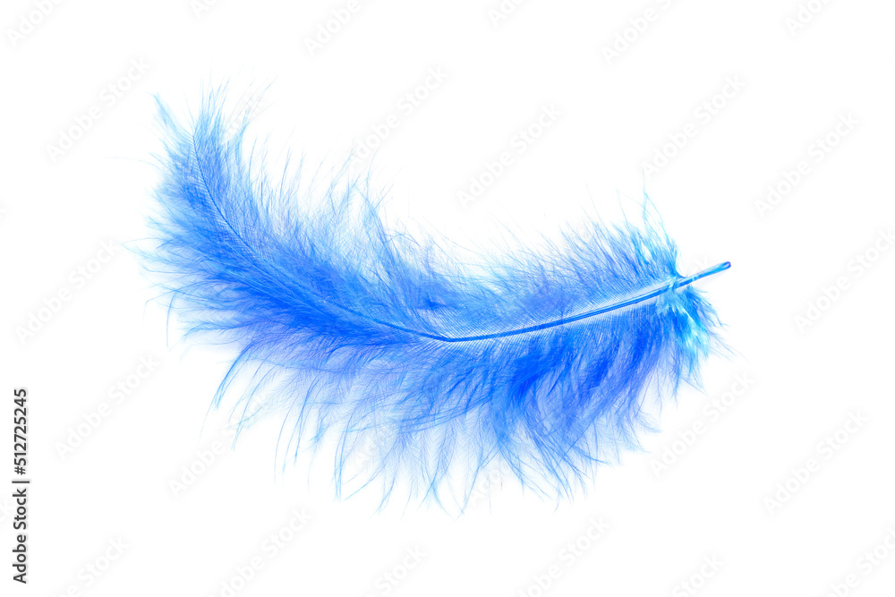 Beautiful blue feather on white background