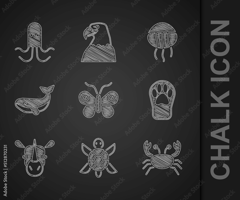 Set Butterfly, Turtle, Crab, Paw print, Rhinoceros, Whale, Jellyfish and Octopus icon. Vector