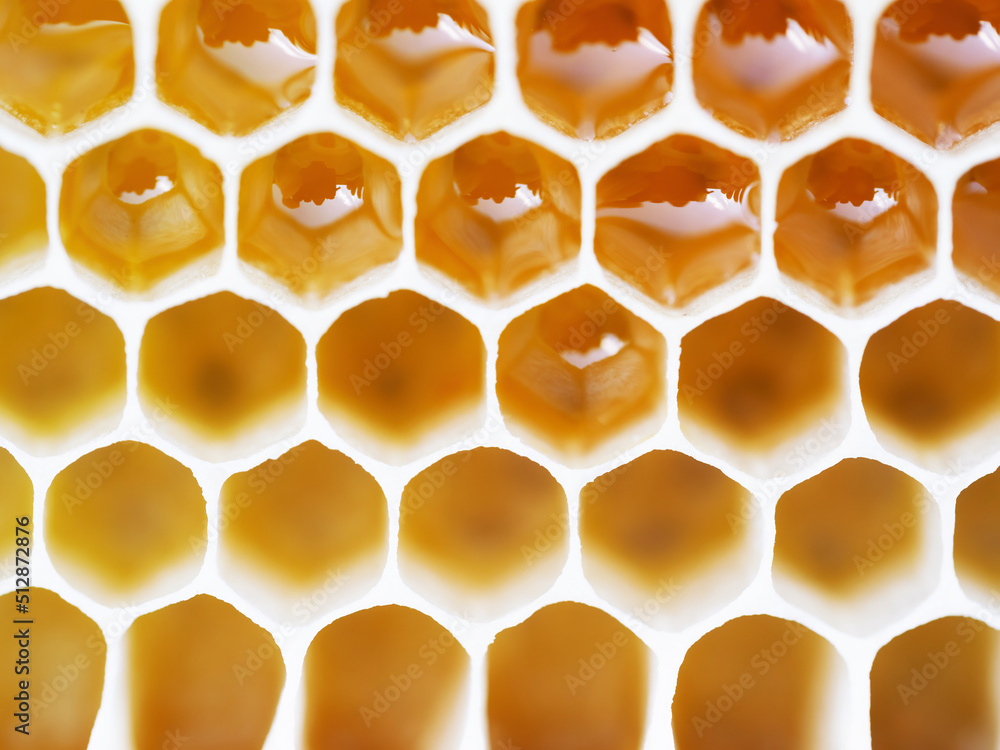 Beekeeping - close-up of cells filled with honey. Background texture and pattern of a section of wax