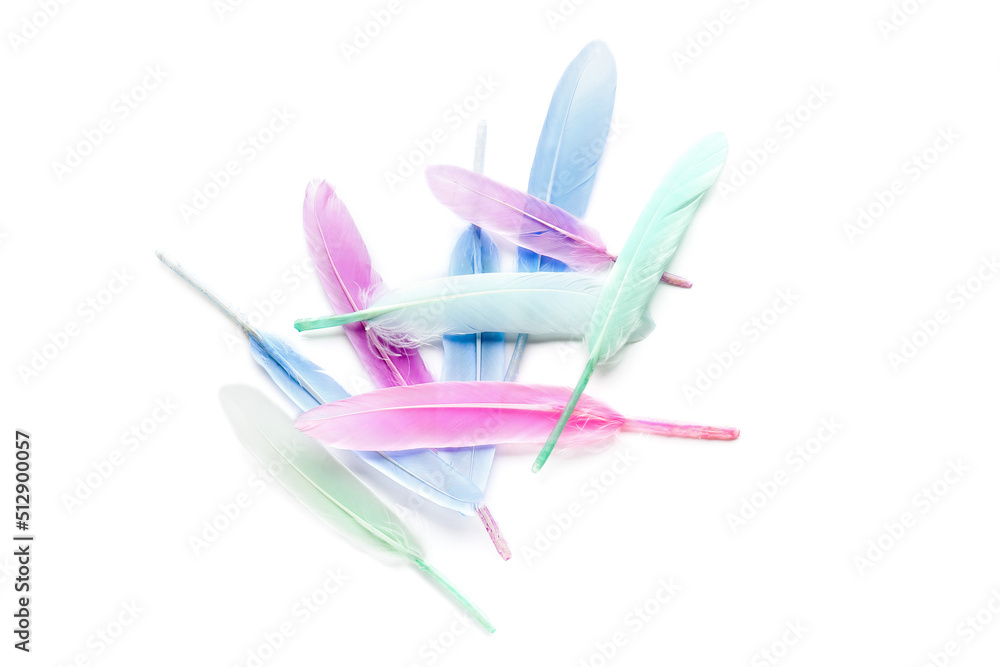 Different beautiful feathers on white background