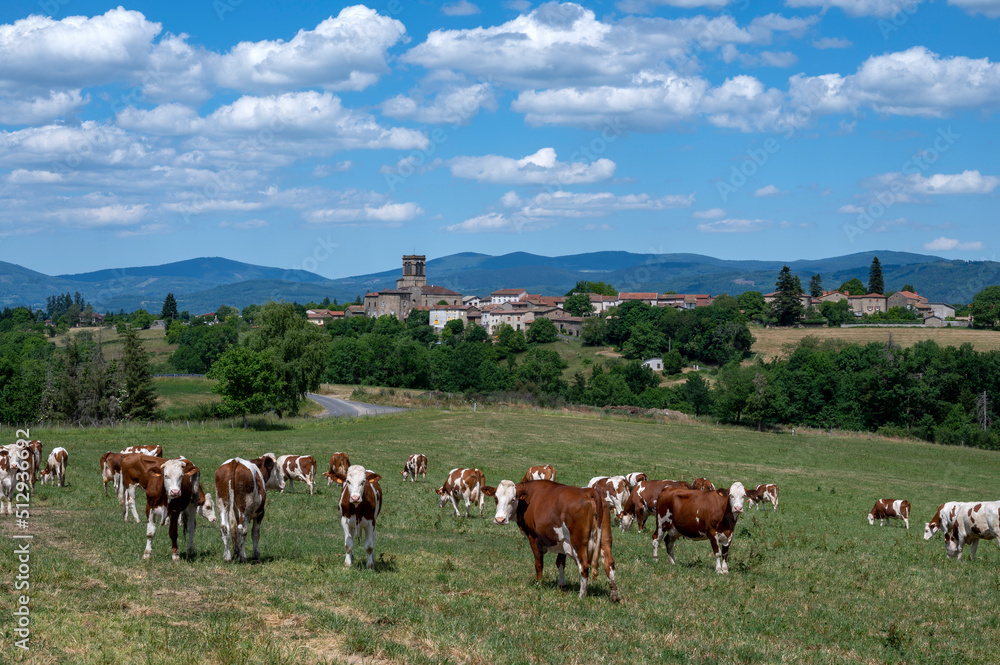 Paysage pittoresque et rural des montagnes dAuvergne dans le département du Puy-de-Dôme au printemp