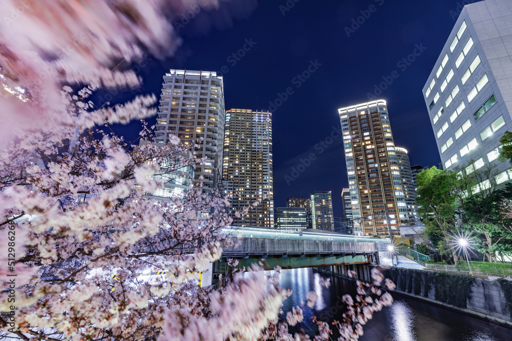 満開の夜桜が綺麗な目黒川沿いのビル群