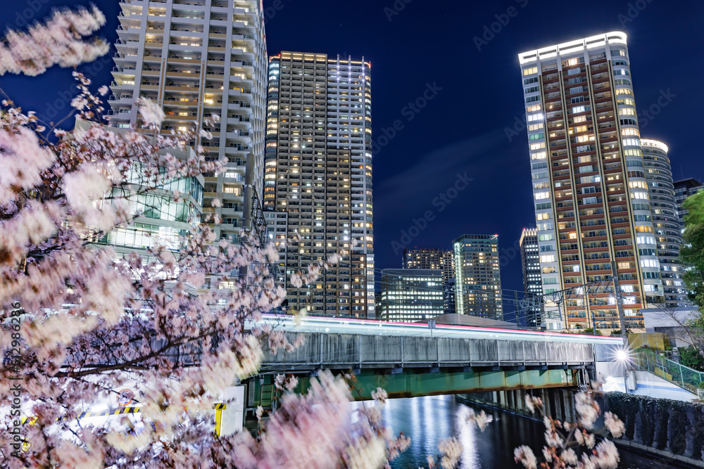 満開の夜桜が綺麗な目黒川沿いのビル群