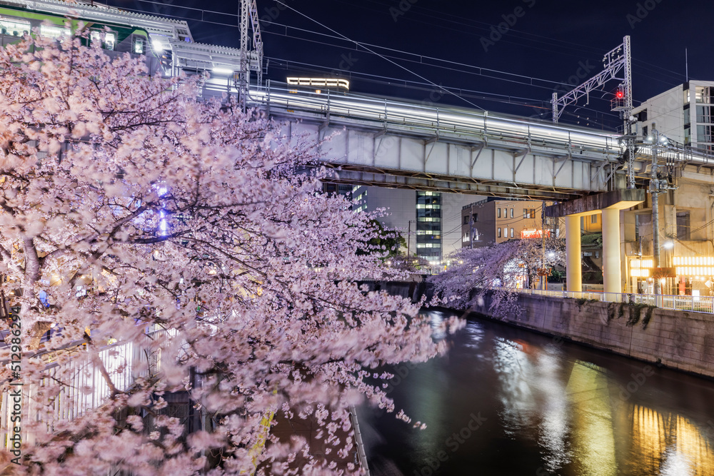 満開の夜桜が綺麗な目黒川沿いのビル群