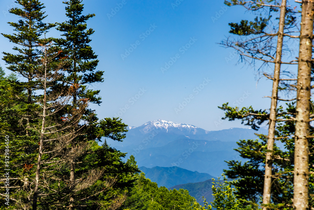 新緑が綺麗な木と遠くに見える山脈