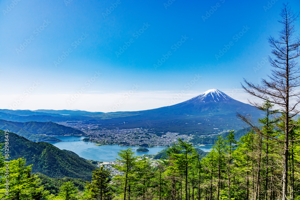 新緑が綺麗な新道峠から見える富士山