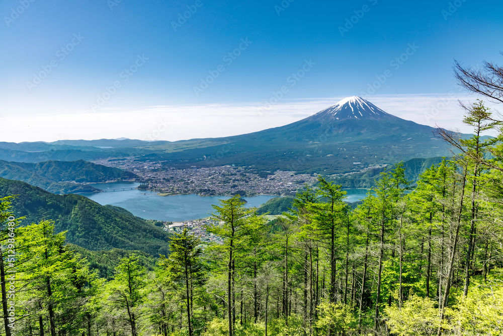 新緑が綺麗な新道峠から見える富士山