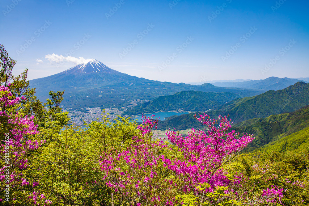 つつじが綺麗な黒岳展望台から見る風景