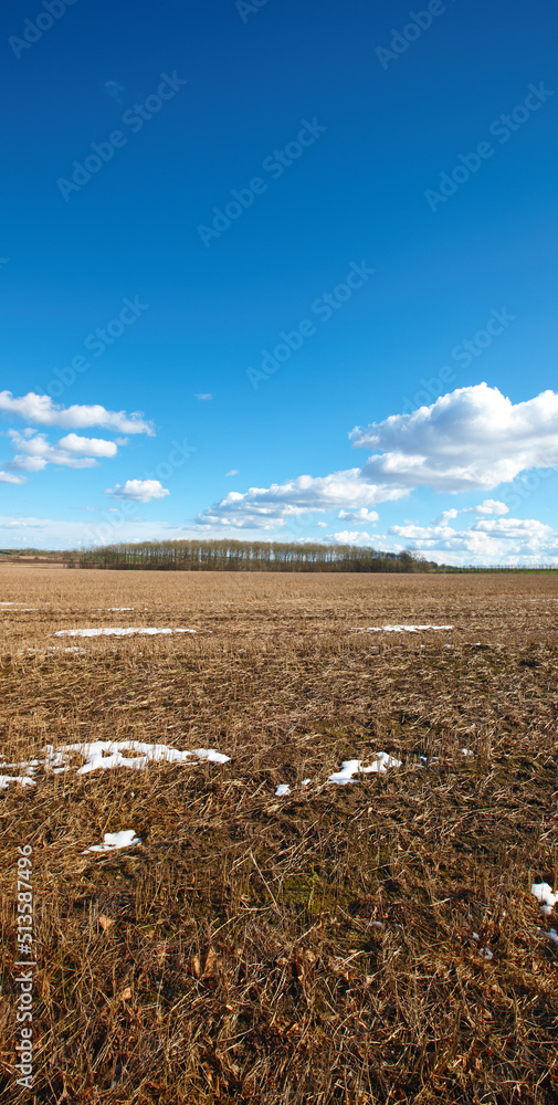 Landscape of an open dry land during winter with melting snow. An empty arid field with trees in the