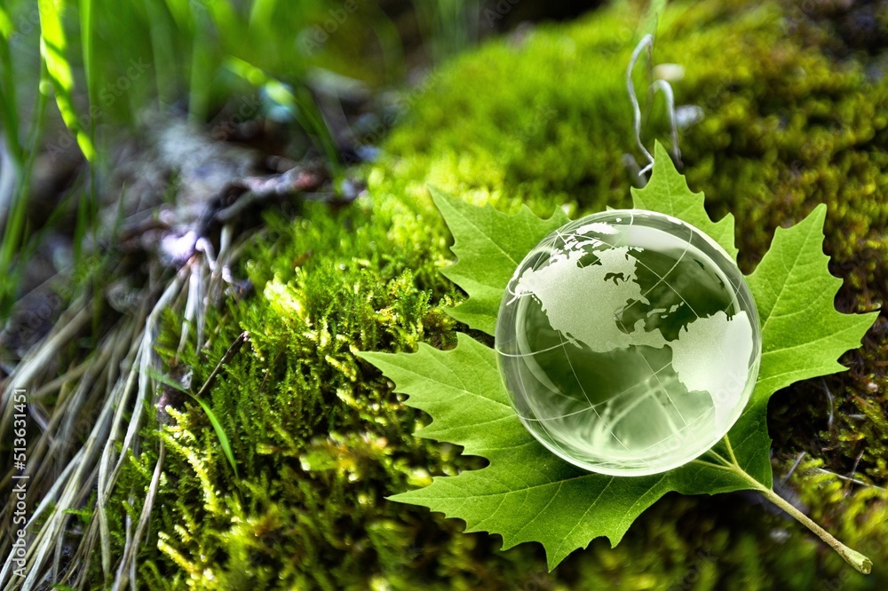 Globe in green forest. Environment protection concept. Ecology. Sustainable society concept