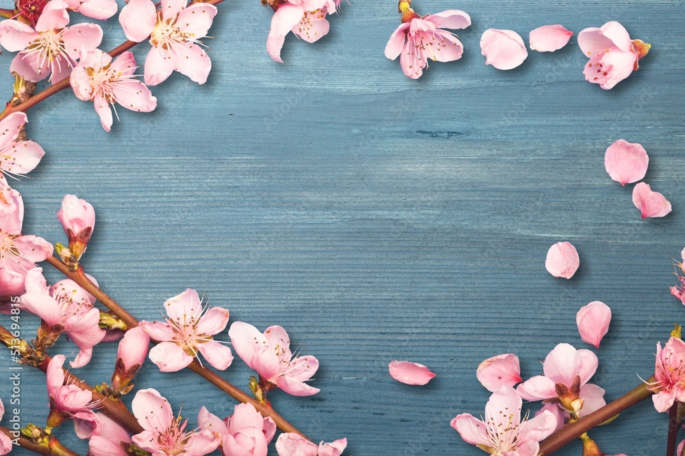 Pink spring flowers branch composition