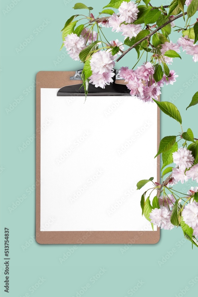 Empty white paper  clipboard with home plant and soft floral shadows. Spring Summer concept.